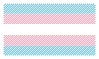 Trans and proud